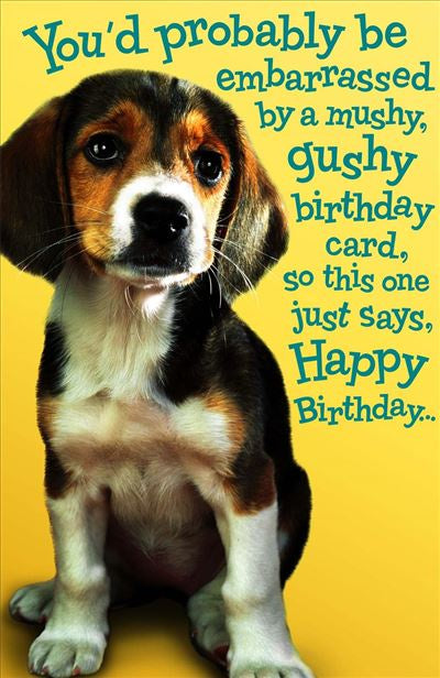 BIRTHDAY CARD PUPPY EMBARRASSED BY A MUSHY GUSHY CARD