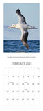 2025 CALENDAR NEW ZEALAND'S NATIVE BIRDS