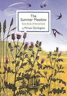 THE SUMMER MEADOW