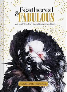 FEATHERED & FABULOUS