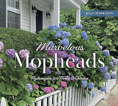 MARVELOUS MOPHEADS