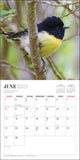 2025 CALENDAR NEW ZEALAND BIRDS MINI