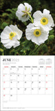 2025 CALENDAR NEW ZEALAND NATIVE FLOWERS MINI