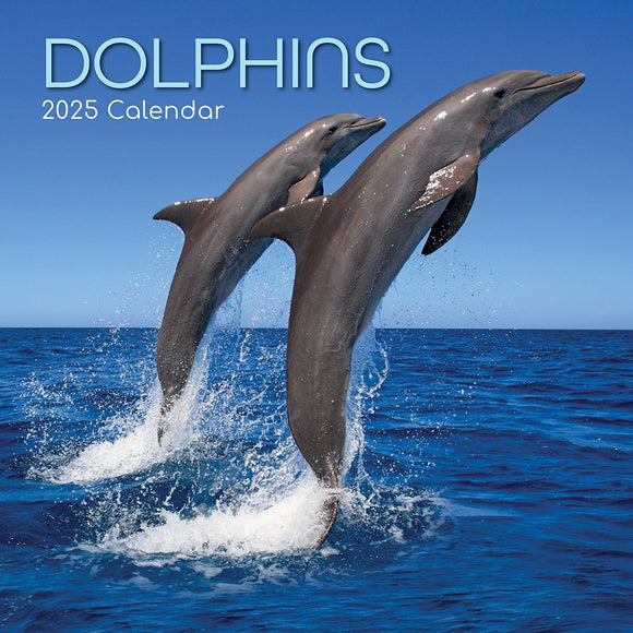 2025 CALENDAR DOLPHINS