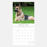 2025 CALENDAR GERMAN SHEPHERDS SQUARE