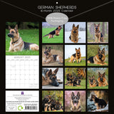 2025 CALENDAR GERMAN SHEPHERDS SQUARE