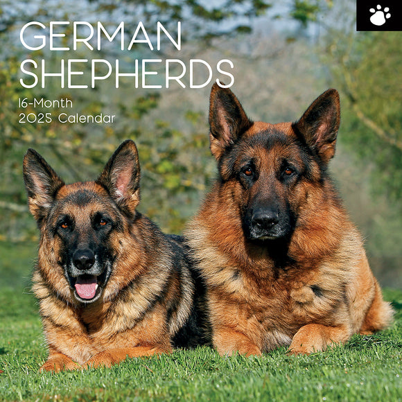 2025 CALENDAR GERMAN SHEPHERDS SQUARE