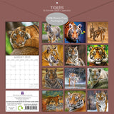 2025 CALENDAR TIGERS SQUARE