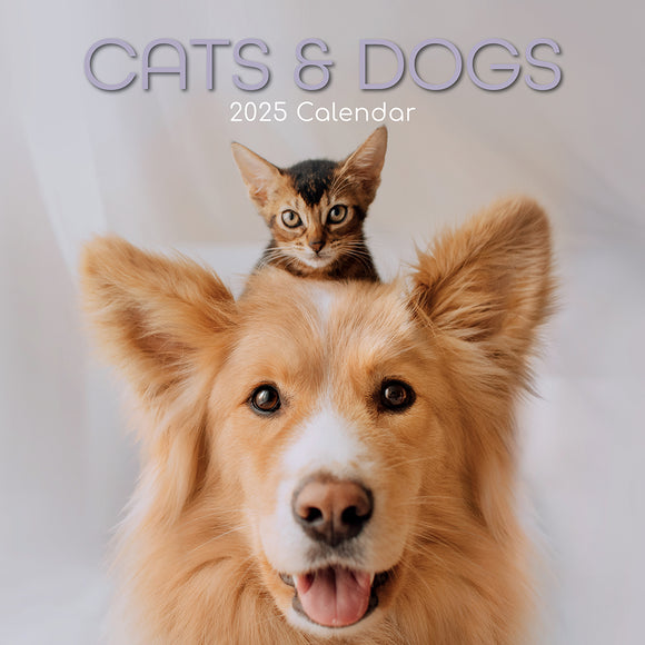 2025 CALENDAR CATS & DOGS SQUARE