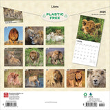 2025 CALENDAR LIONS