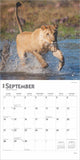 2025 CALENDAR LIONS