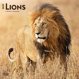 2025 CALENDAR LIONS