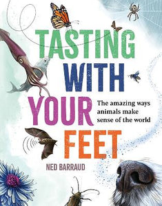 TASTING WITH YOUR FEET