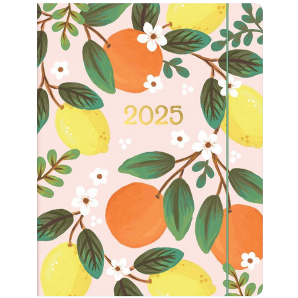 2025 JUST RIGHT MONTHLY PLANNER FRUIT & FLORA - 17 MONTHS