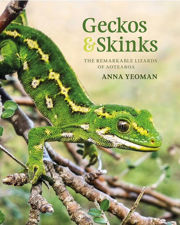 GECKOS AND SKINKS: THE REMARKABLE LIZARDS OF AOTEAROA