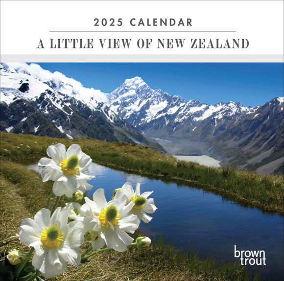 2025 CALENDAR A LITTLE VIEW OF NEW ZEALAND MINI