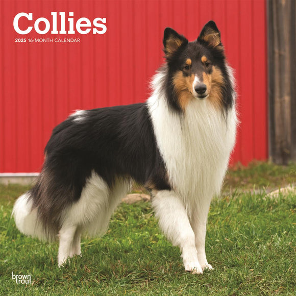 2025 CALENDAR COLLIES