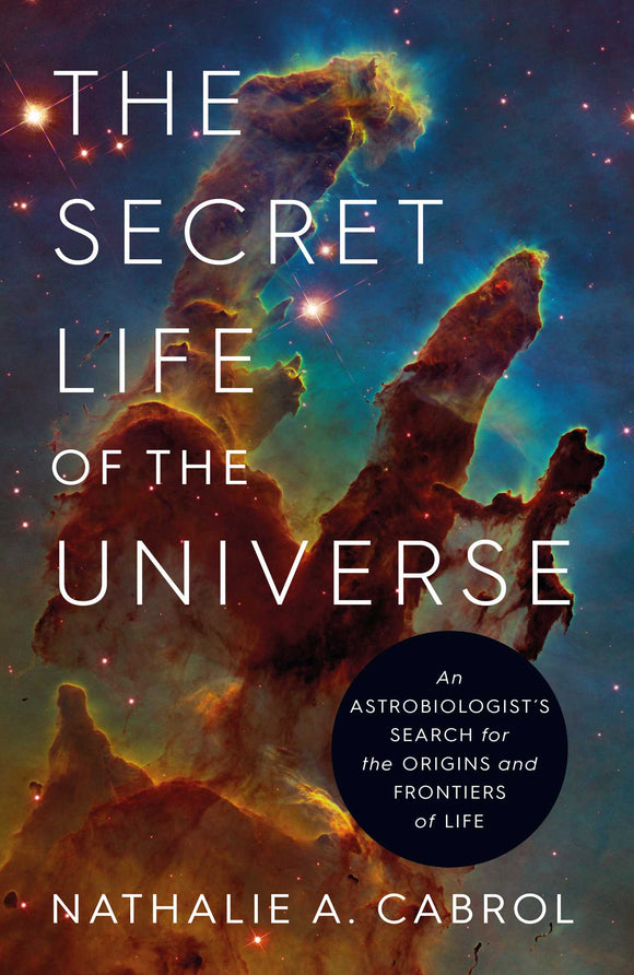 THE SECRET LIFE OF THE UNIVERSE