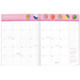 2025 JUST RIGHT MONTHLY PLANNER PAINTER'S PALETTE - 17 MONTHS