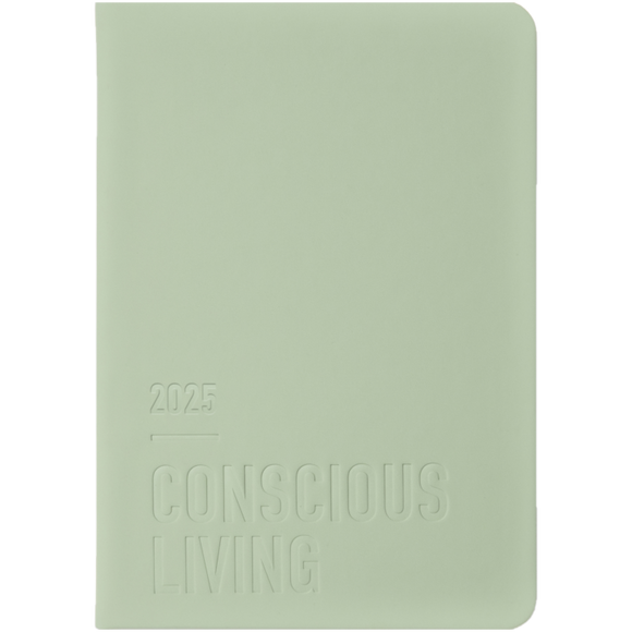 2025 LETTS DIARY CONSCIOUS A51 SAGE DAY PER PAGE