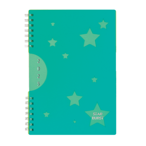 2025 COLLINS DIARY A53 STARBURST WEEK TO VIEW ASSORTED