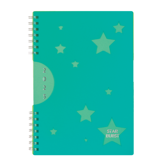 2025 COLLINS DIARY A53 STARBURST WEEK TO VIEW ASSORTED