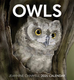 2025 CALENDAR OWLS: JEANNINE CHAPPELL