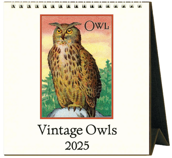 2025 CALENDAR CAVALLINI VINTAGE OWLS DESK CALENDAR