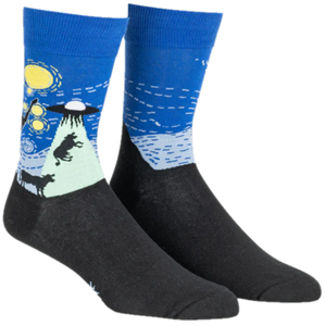 THE STARRY FLIGHT MENS CREW SOCKS