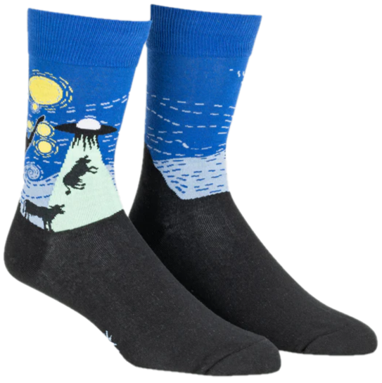 THE STARRY FLIGHT MENS CREW SOCKS