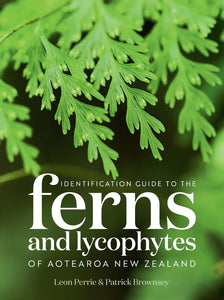 IDENTIFICATION GUIDE TO THE FERNS AND LYCOPHYTES OF AOTEAROA NEW ZEALAND