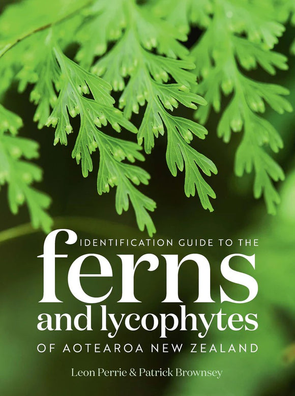 IDENTIFICATION GUIDE TO THE FERNS AND LYCOPHYTES OF AOTEAROA NEW ZEALAND