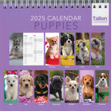 2025 DESK CALENDAR PUPPIES OR KITTENS