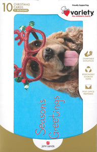 CHRISTMAS BOXED CARDS XMAS DOGS 10 PACK