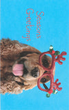 CHRISTMAS BOXED CARDS XMAS DOGS 10 PACK