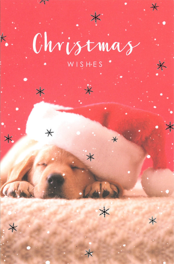 CHRISTMAS CARD SLEEPING DOG IN SANTA HAT