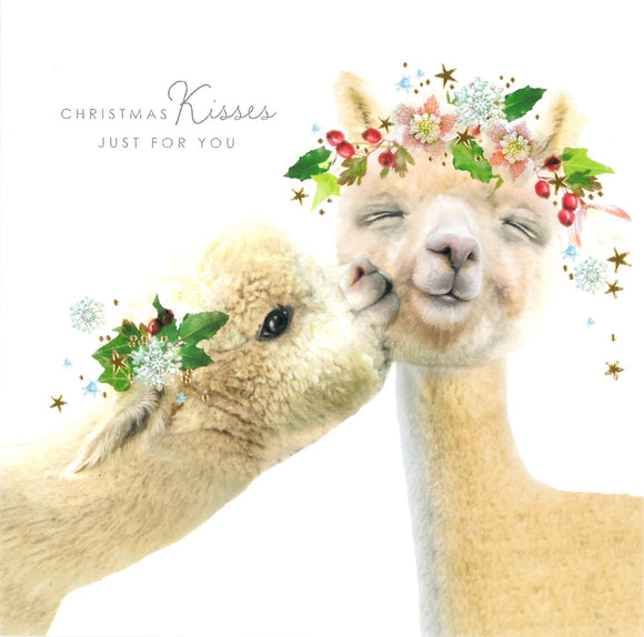 CHRISTMAS CARD ALPACA KISS