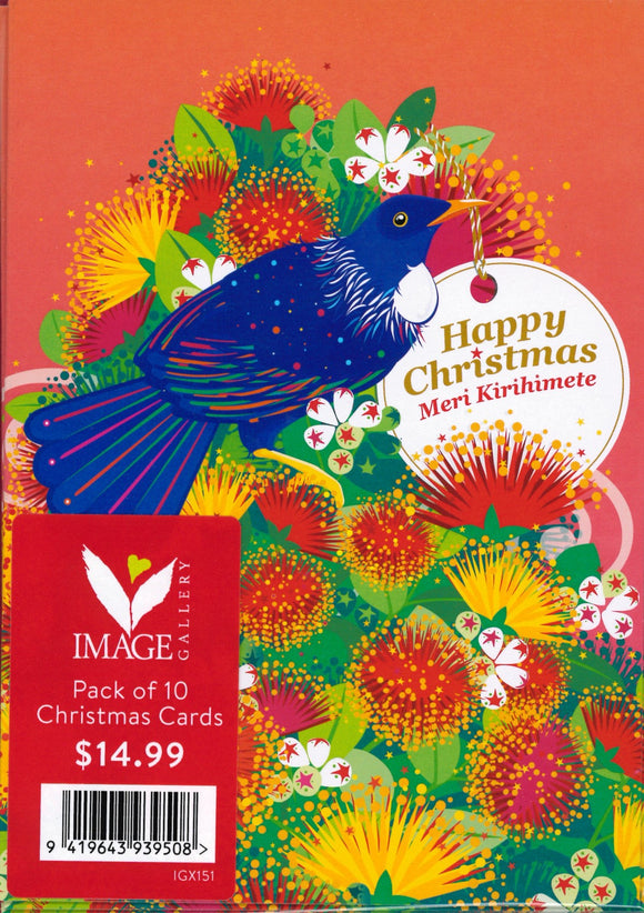 CHRISTMAS BOXED CARDS TUI POHUTUKAWA 10 PACK