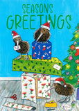 CHRISTMAS BOXED CARDS KIWI PRESENTS / FANTAIL TREE 10 PACK