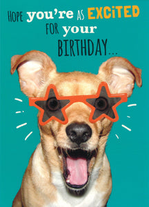 BIRTHDAY CARD EXCITED DOG