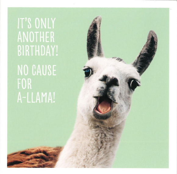 BIRTHDAY CARD NO CAUSE FOR A-LLAMA