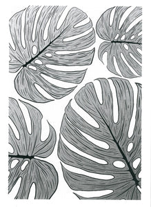 BLANK CARD MONSTERA