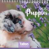 2025 DESK CALENDAR PUPPIES OR KITTENS