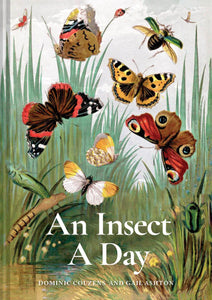 AN INSECT A DAY