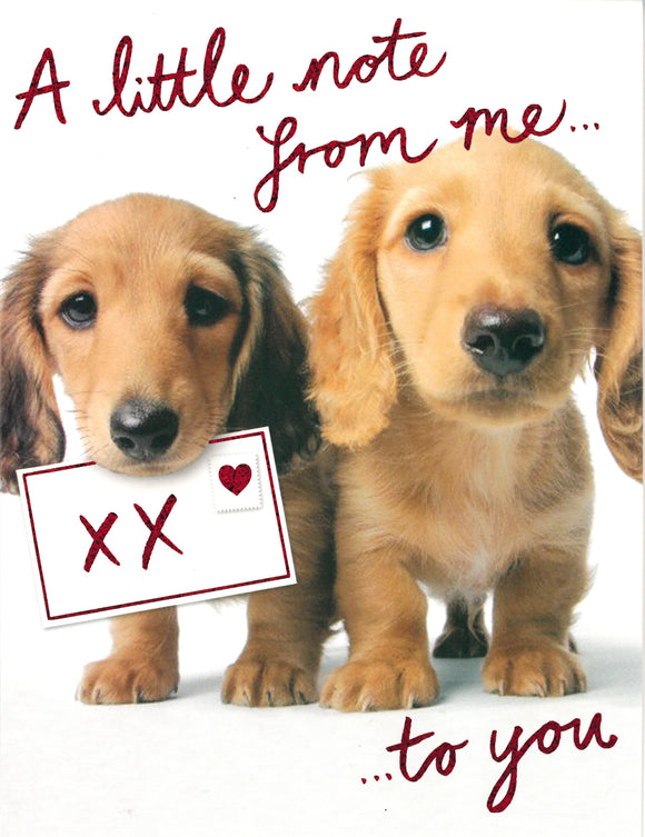 VALENTINES CARD DOGS HOLDING LETTER