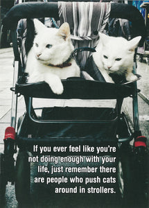 BIRTHDAY CARD CATS IN STROLLERS